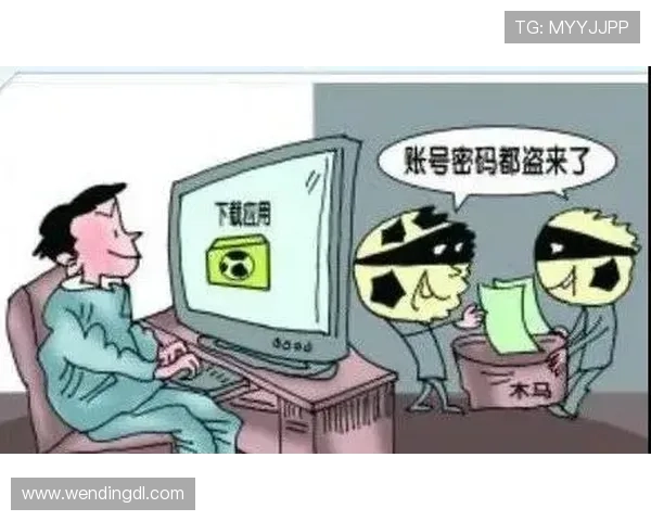 问鼎国际电脑版下载安装包获取途径，安全下载避免病毒风险