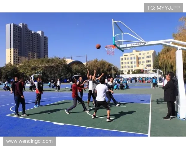 问鼎体育官网首页入口访问流程详解，帮助新手玩家快速顺利进入官方平台