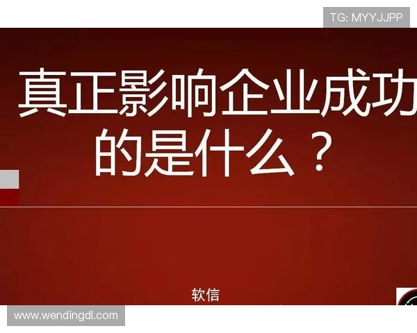问鼎集团控股有限公司的企业文化与管理理念对其在游戏行业持续成功的推动作用